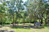 33135 Forest Ridge Road - Photo 7