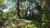 236 Amelia Avenue - Photo 10