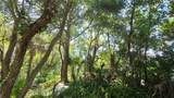 236 Amelia Avenue - Photo 11