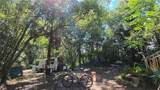 236 Amelia Avenue - Photo 7
