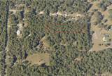  Fatio Road Road - Photo 3