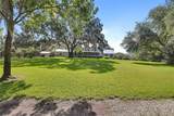 900 Kicklighter ( 15+/- Acres) Road - Photo 41