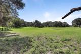 900 Kicklighter ( 15+/- Acres) Road - Photo 43
