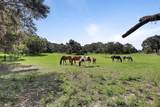 900 Kicklighter ( 15+/- Acres) Road - Photo 46