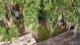 3128 Mango Tree Drive - Photo 42