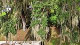 3128 Mango Tree Drive - Photo 43
