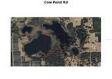  Cow Pond Road - Photo 1