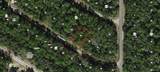 9143 Danube Loop - Photo 1