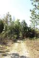 1267 Jorie Terrace - Photo 8