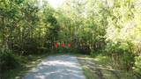 1500 Candlenut & 1627 S Palm Avenue - Photo 7