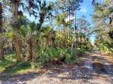 8738 Lindy Lane - Photo 2