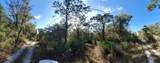 8738 Lindy Lane - Photo 3