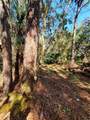 8738 Lindy Lane - Photo 5