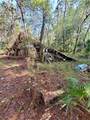 8738 Lindy Lane - Photo 8