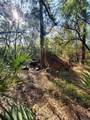 8738 Lindy Lane - Photo 9