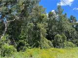  Us 19 Highway - Photo 3