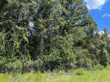  Us 19 Highway - Photo 4