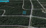 9374 Athenia Drive - Photo 5