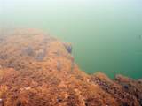 0 Marys Fish Camp Road - Photo 13