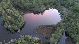 0 Marys Fish Camp Road - Photo 25