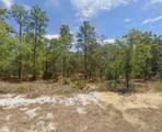 31 Hackberry Drive - Photo 2