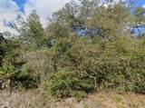33461 West Boulevard - Photo 5