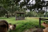 23337 Lake Lindsey Road - Photo 42