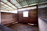 23337 Lake Lindsey Road - Photo 45