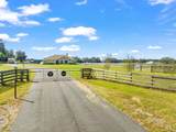 24390 Mondon Hill Road - Photo 4
