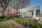 10595 Marsha Drive - Photo 37