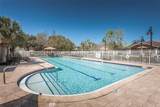 10595 Marsha Drive - Photo 45