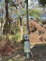 27453 White Dove Drive - Photo 10