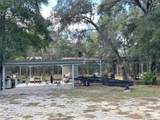 27453 White Dove Drive - Photo 12