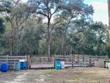 27453 White Dove Drive - Photo 13