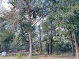 27453 White Dove Drive - Photo 14
