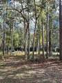 27453 White Dove Drive - Photo 15