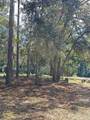 27453 White Dove Drive - Photo 16