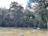 27453 White Dove Drive - Photo 2