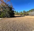 12250 Highway 19 - Photo 2