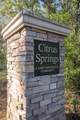 2177 Citrus Springs Boulevard - Photo 4