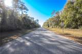 2177 Citrus Springs Boulevard - Photo 7