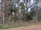 Lot 3 Carolina Dove Road - Photo 3