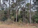 Lot 3 Carolina Dove Road - Photo 4
