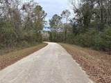 Lot 3 Carolina Dove Road - Photo 5