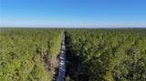 0 Old Train Road - Photo 4