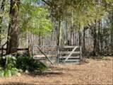 9382 Wild Horse Trail - Photo 69