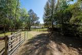 9382 Wild Horse Trail - Photo 70