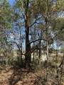 0 Courlan Road - Photo 4