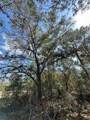 0 Courlan Road - Photo 8