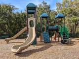 1709 Nodding Thistle Drive - Photo 41